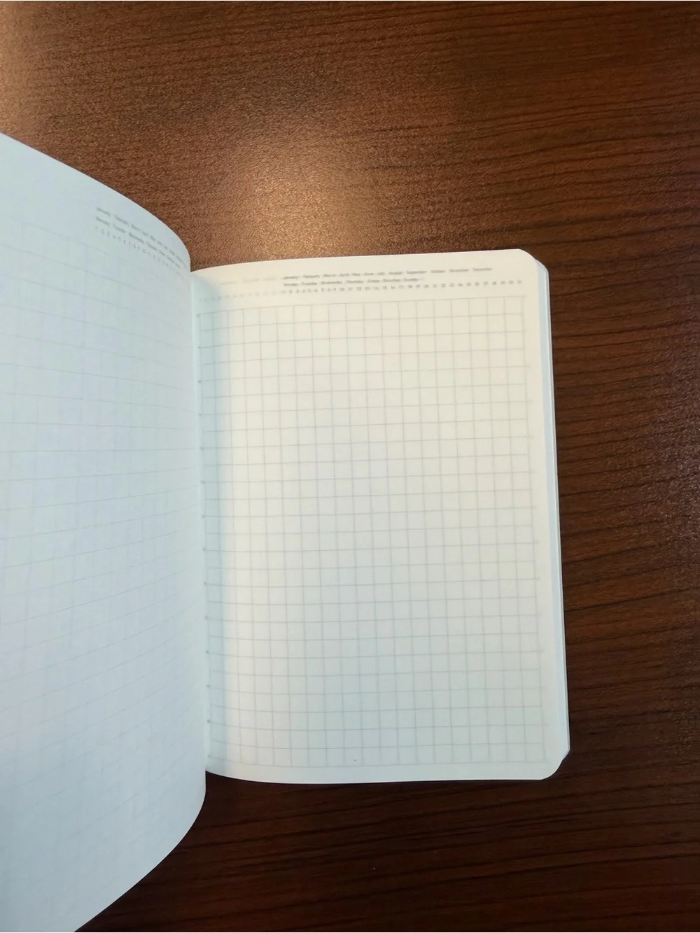 Light Blue Stalogy 1/2 year notebook A6